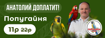 Попугайня
