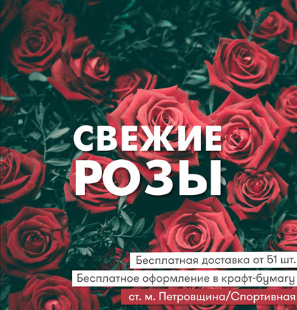 Новичков