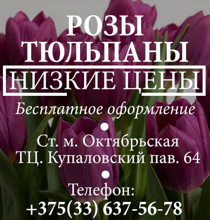 Кучинский