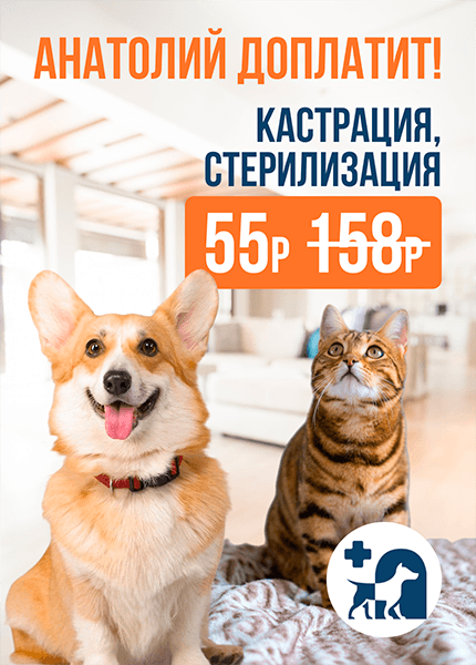Vet House