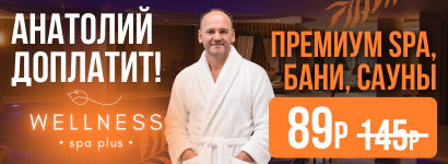 Wellness Spa Plus