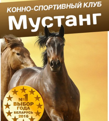 Прогулка на лошадях всего от 12,50 руб. в конном клубе "Мустанг"