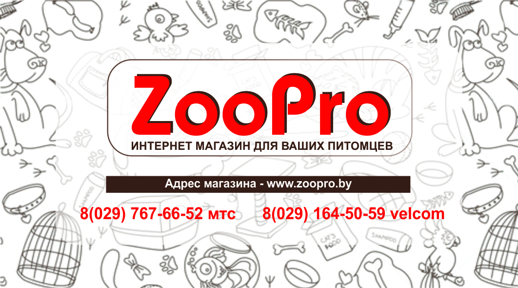 Корм для кошек и собак, когтеточки в магазине "ZooPro" со скидкой до 30%