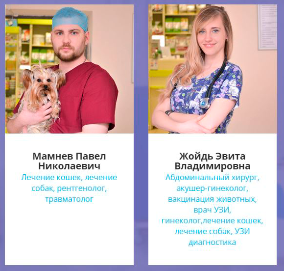 Дай Лапу Интернет Магазин Минск