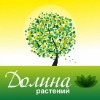 Саженцы плодовых деревьев, роз, семена овощей, цветов и многое другое со скидкой до 20% от интернет-магазина "Dolinasad.by"