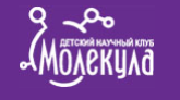Мастер-класс по изготовлению слаймов за 75 руб. от детского научного клуба "Молекула"