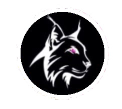 Ультразвуковая чистка, карбокситерапия, пилинг лица от 27 руб. в салоне красоты "Черная рысь"