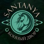 Индивидуальное занятие по верховой езде, фотосъемка от 15 руб/час в конном дворе "Santanya"