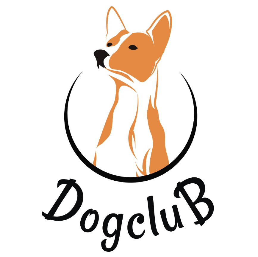 Различные уходовые процедуры для животных от 5 руб. в "Dogclub"