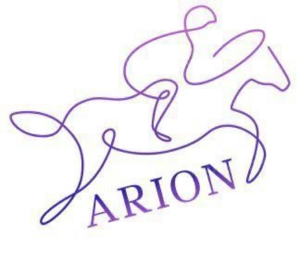 Конная прогулка от 30 р, обучение верховой езде от 90 р. в конном дворе "Арион" в Гродно