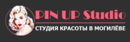 Установка скайсов от 30 р. в студии красоты "PinUp" в Могилеве
