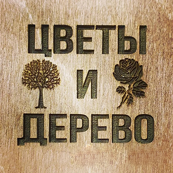 Кашпо декоративное из дерева от 9 р. в творческой мастерской "FlorBox"