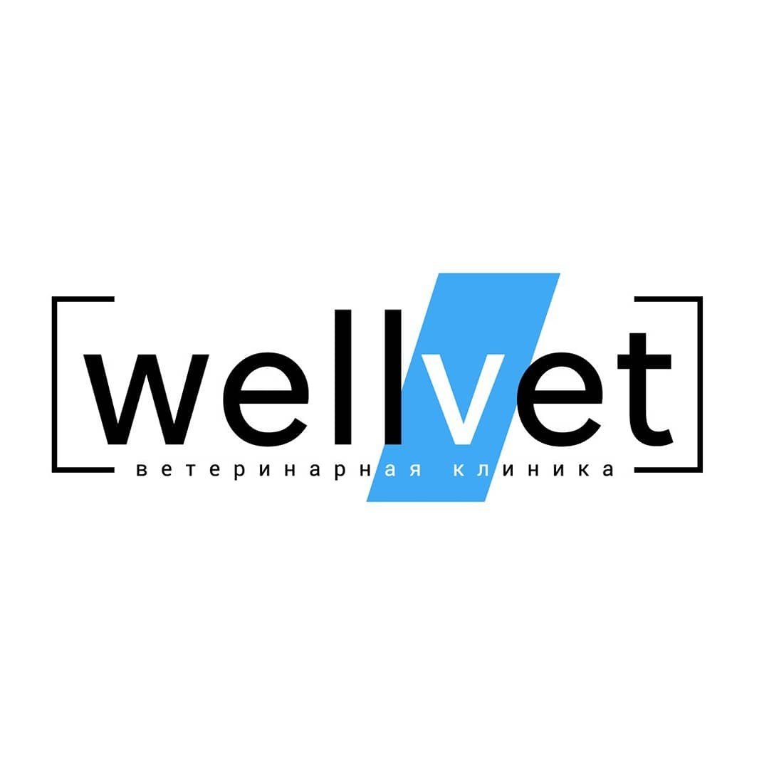 Эндоскопическая стерилизация, кастрация кошек и собак, подрезка когтей со скидкой до 50% в клинике "Well Vet Pro"