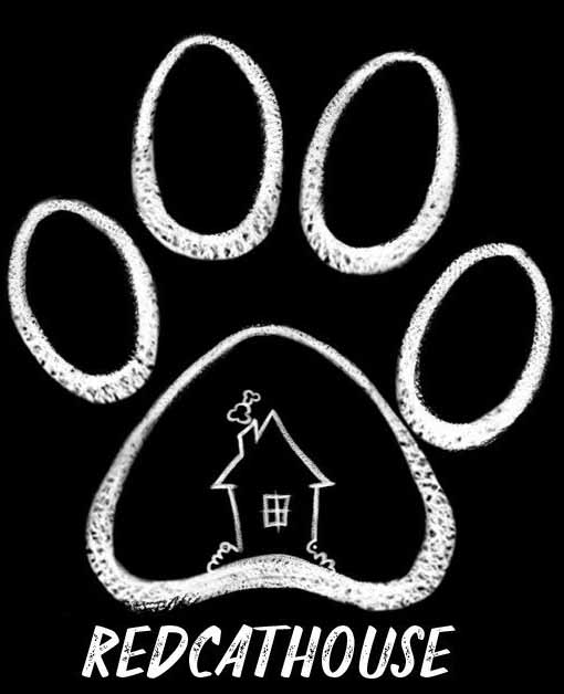 Аренда дома с бассейном + баня со скидкой 25% в усадьбе "Рыжий кот"