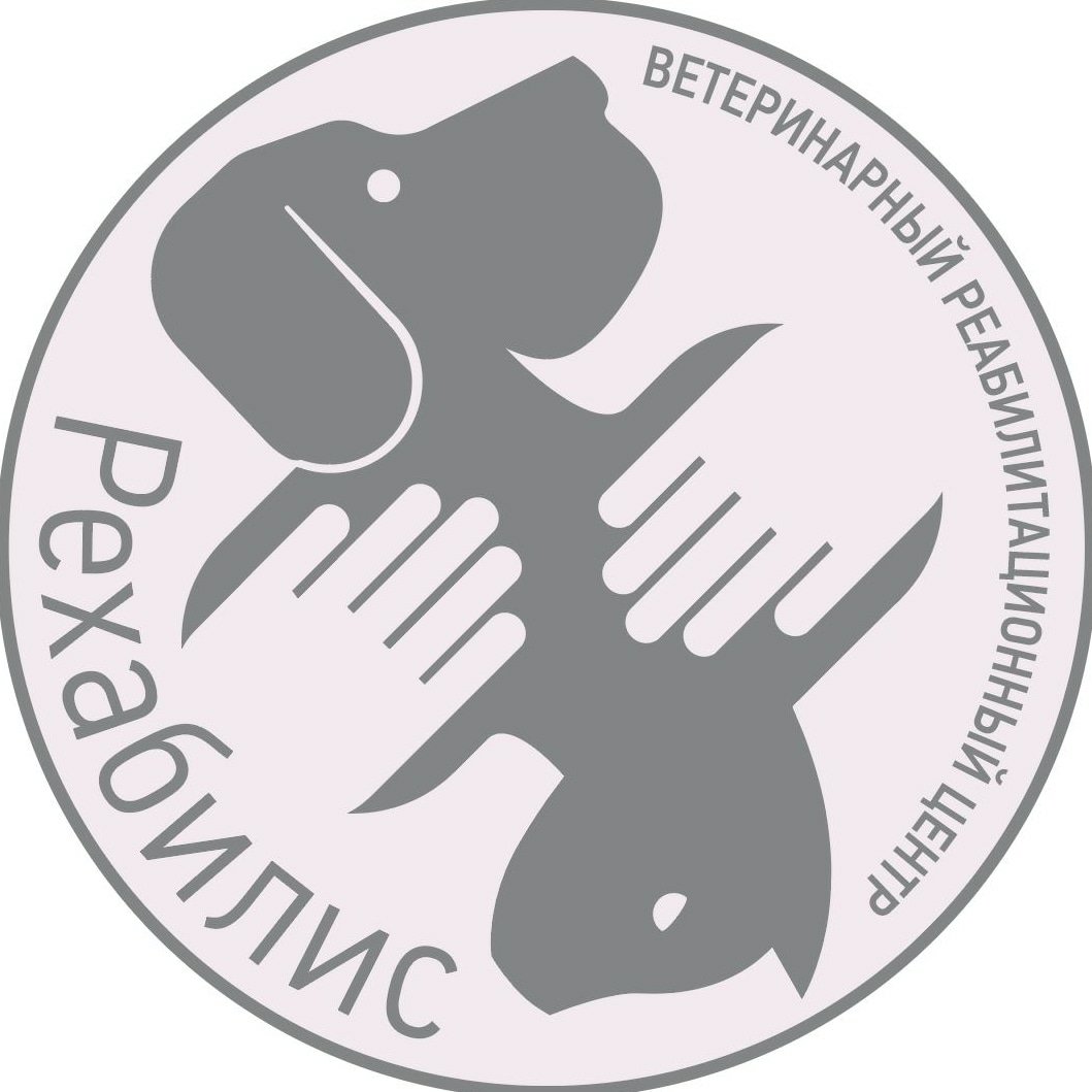 Водная беговая дорожка, плавание и массаж для собак от 40,50 р. в ветеринарном реабилитационном центре "Рехабилис"