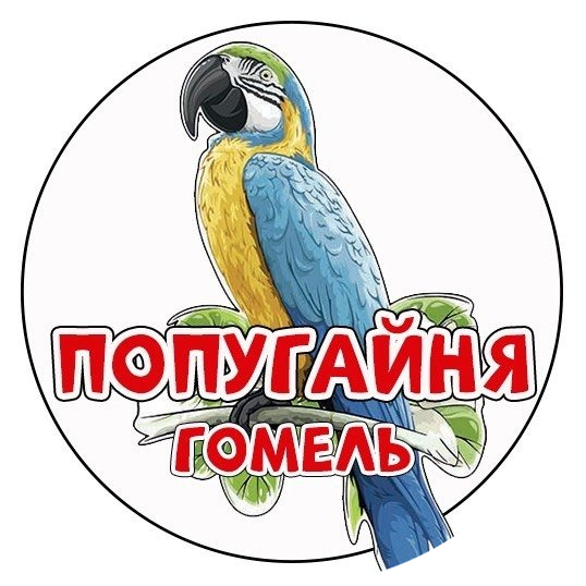 Посещение попугайни от 13 р. в Гомеле