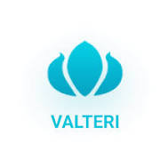 Комплект постельного белья с готовым одеялом со скидкой до 38% в магазине "Valteri"