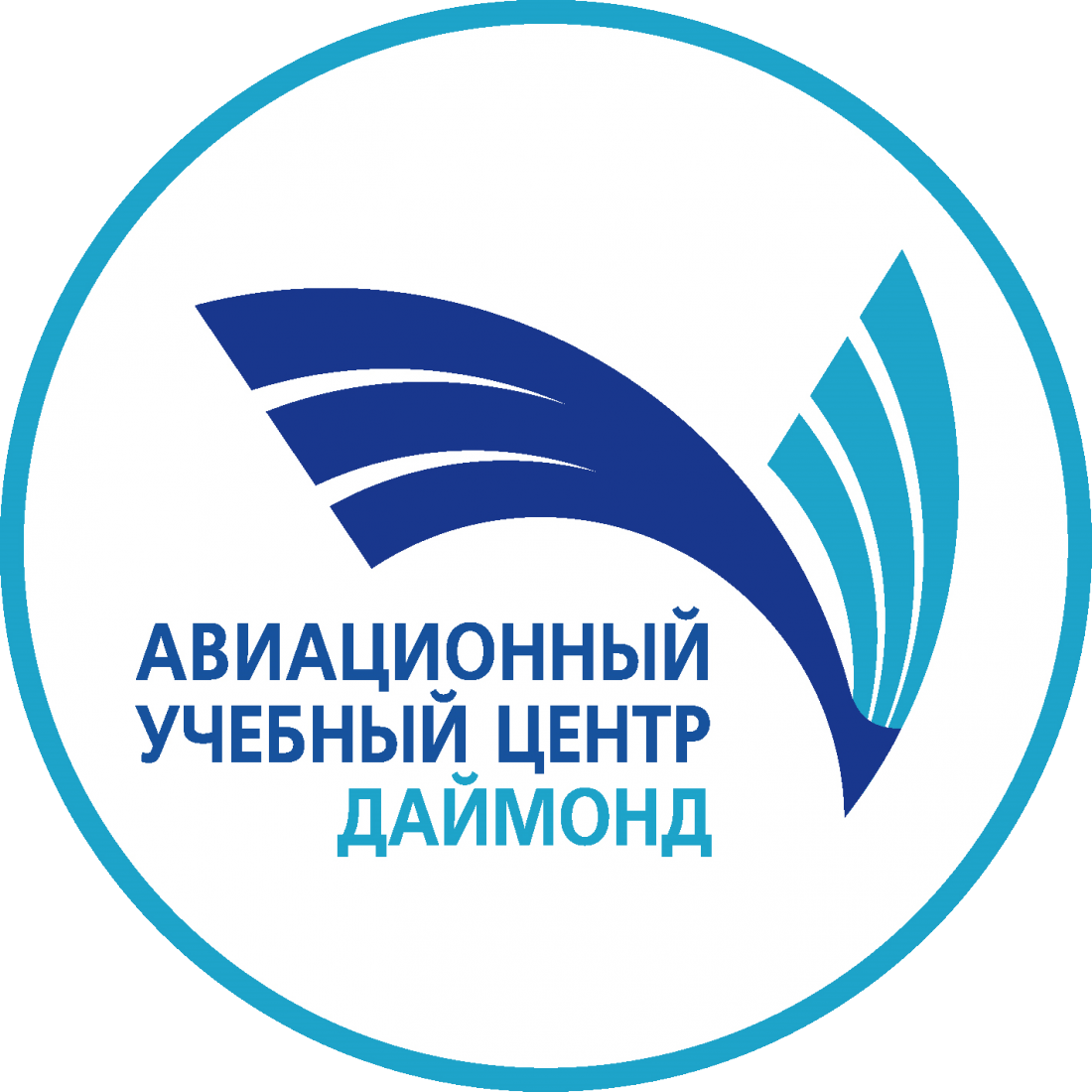 Почувствуй себя пилотом! Полет на авиатренажере или Обзорный полет для всей семьи от 45 руб.