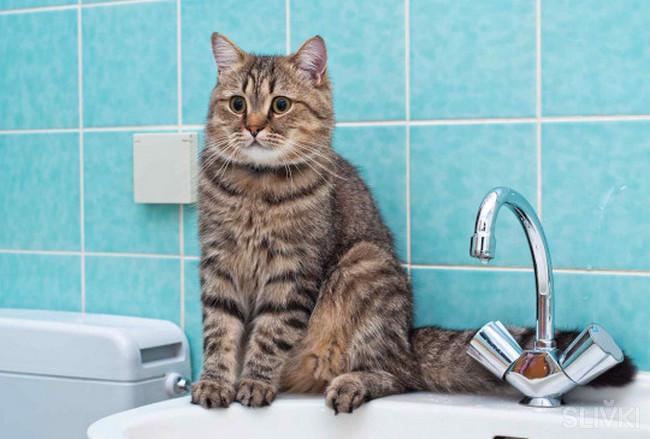 Где в Витебске отключат горячую воду в августе? Список адресов