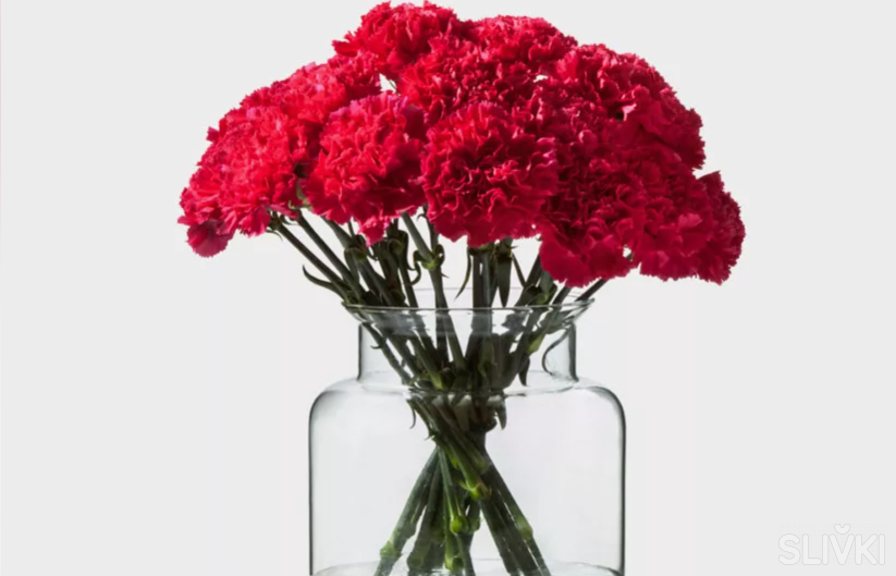 Что нужно делать в пятницу. Что нужно делать в пятницу. Пятница 13 суеверие. Пятница 13 что нельзя делать в этот день и почему. Приметы на пятницу.