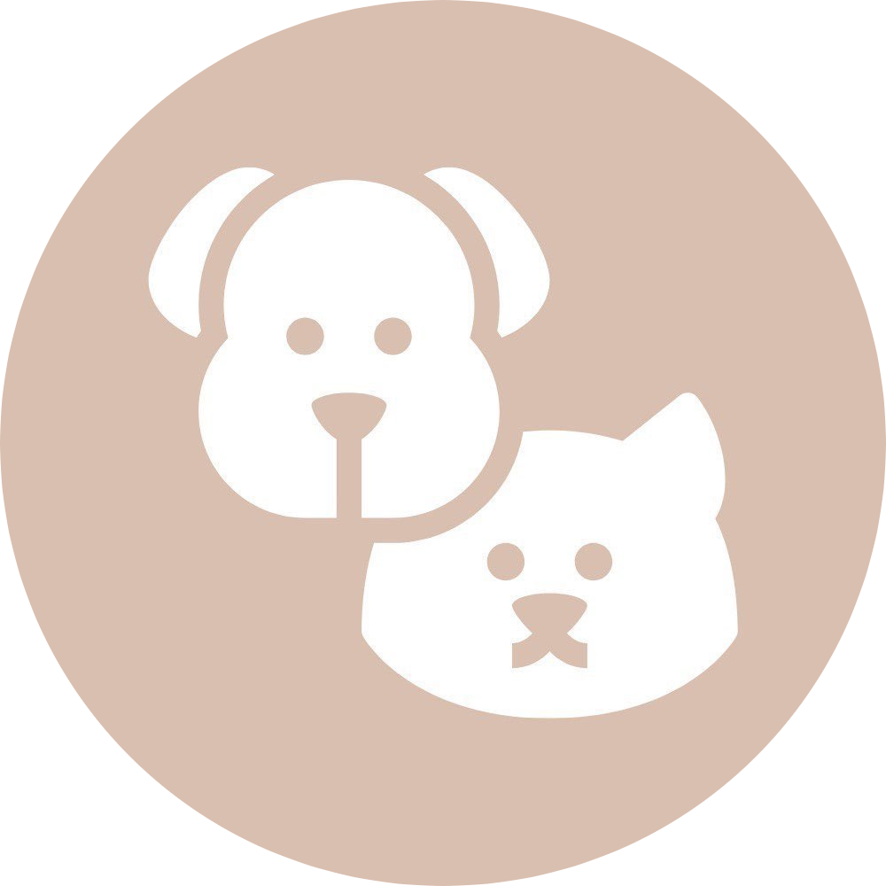 Уходовые комплексы, стрижка, экспресс-линька для собак и котов от 35р в "My lovely pets"