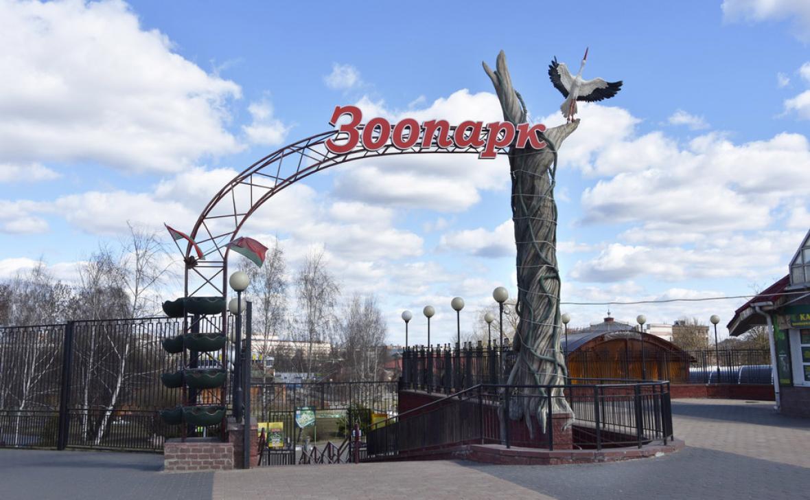 диалоги о животных минский зоопарк. зоопарк чижовка. зоопарк минск фото. диалоги о животных минский зоопарк. минский зоопарк ориноко.