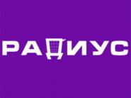 Скидки и акции в дискаунтерах "Радиус"!